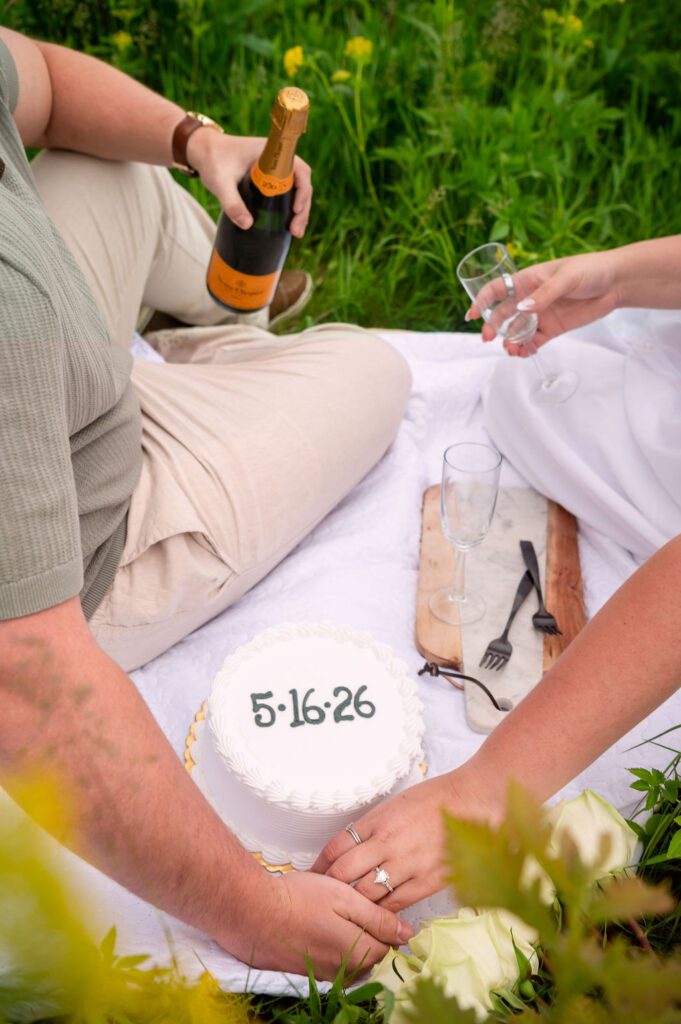 pope-farm-french-picnic-engagement-cake-champagne-middleton-wisconsin